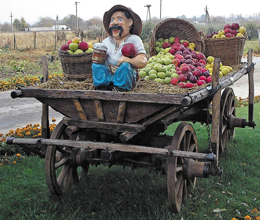 У Міжліссі покупців зустрічає «дядько» з повним возом яблук. Фото автора